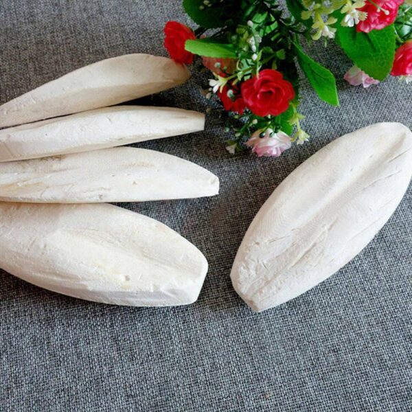 Cuttlefish Bone +Holder